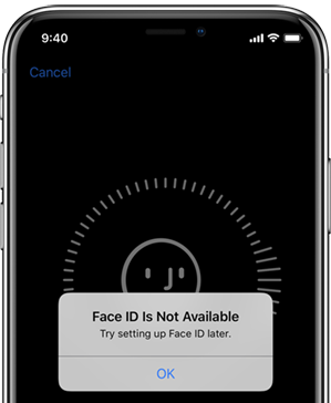 Face/Touch ID is not available