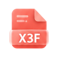 X3F