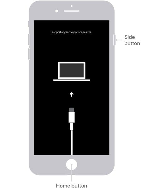 Use the side, Home, and other buttons on your iPhone - Apple Support