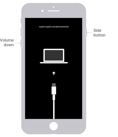 iPhone 7 recovery mode 