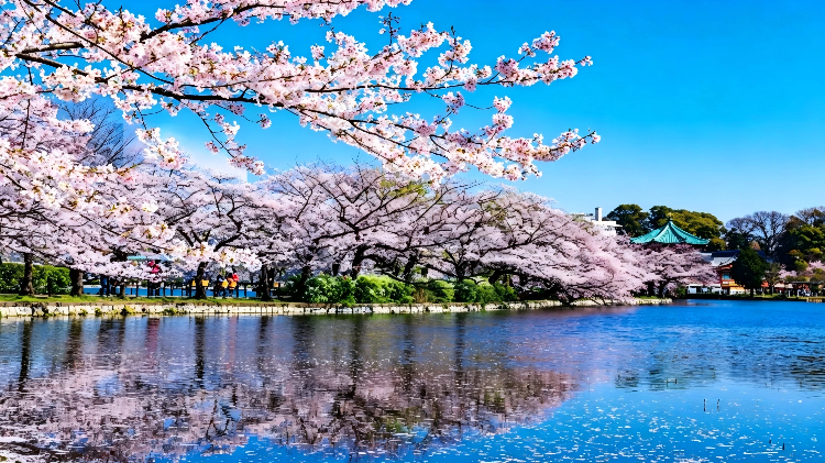Best Tokyo Pokemon GO Coordinate Ueno Park