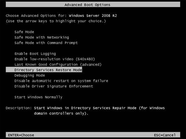 reset dsrm password on windows server