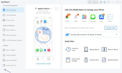 what is immobile anytrans ios