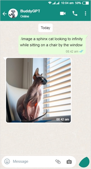 buddygpt whatsapp