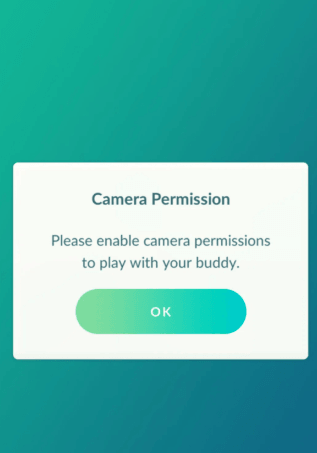 camera permission issues