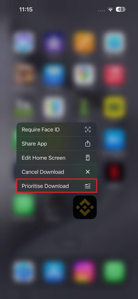 use prioritise download option