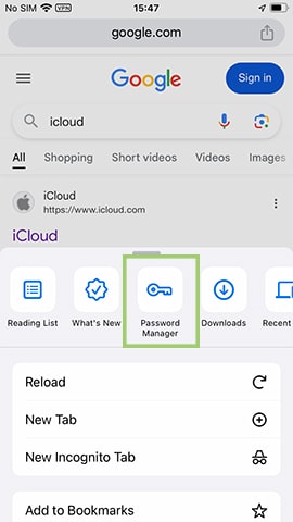 check apple id password in google