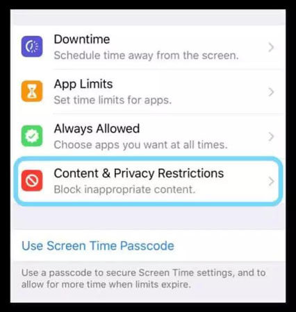 check iphone restriction