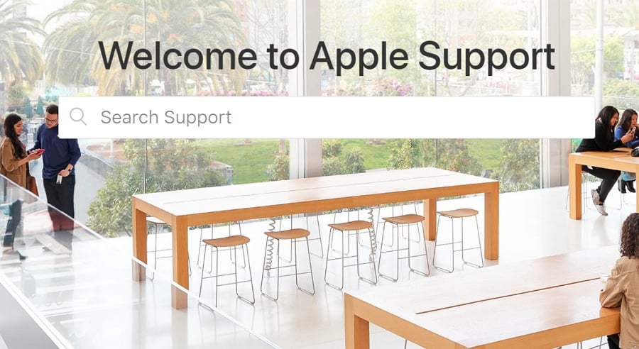 Contact Apple Support and Verify Ownership 