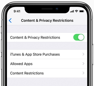  Content & Privacy Restrictions 