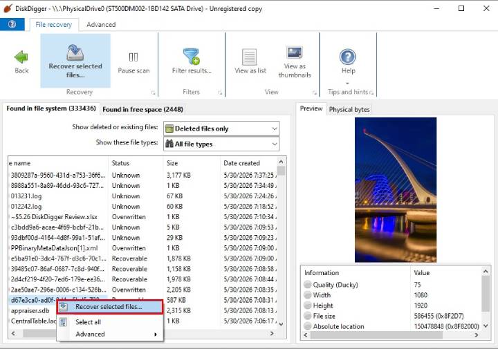 preview files in DiskDigger