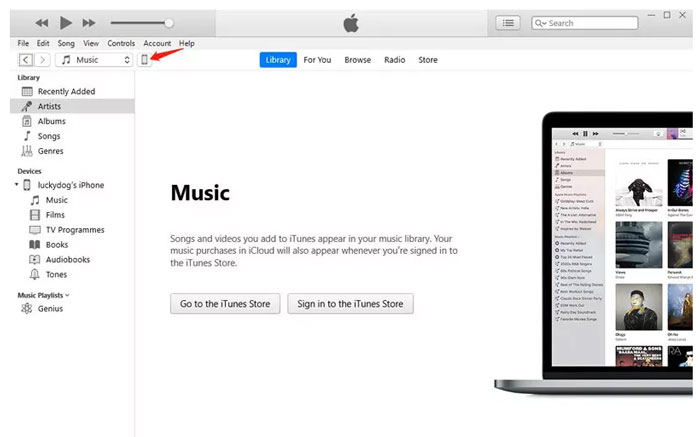 downgrade ios18 without enter