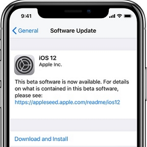 Download and Install ios update