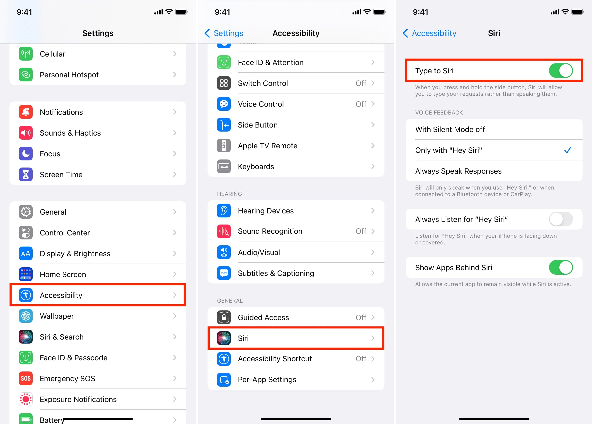 enable type to siri feature