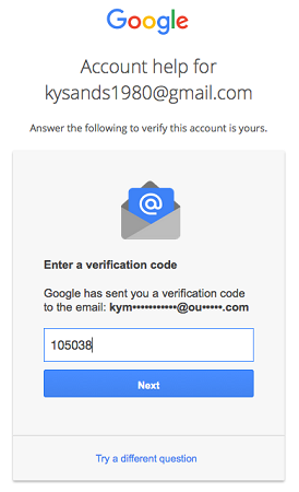 enter the verification code