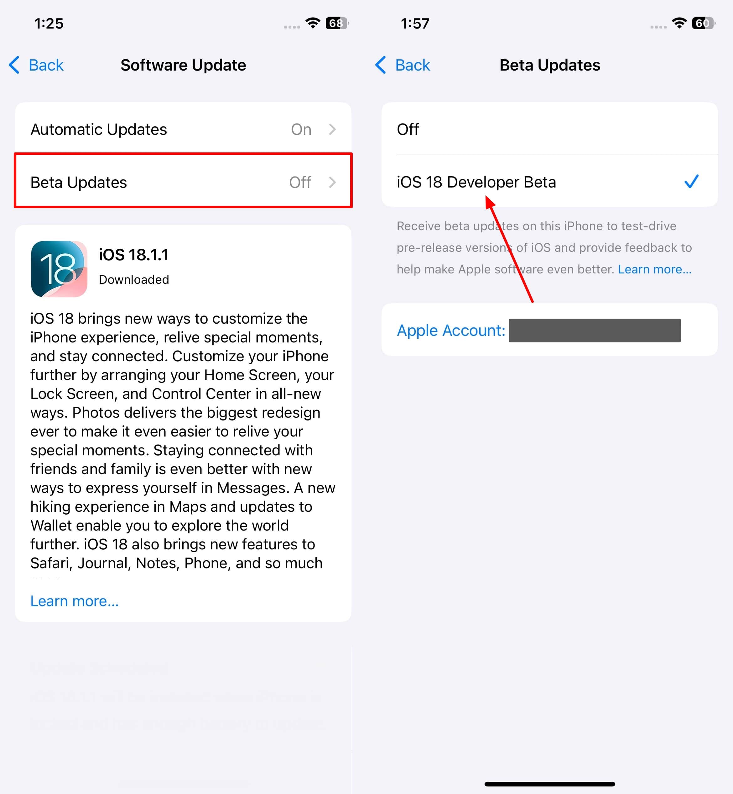 pick ios 18 developer beta