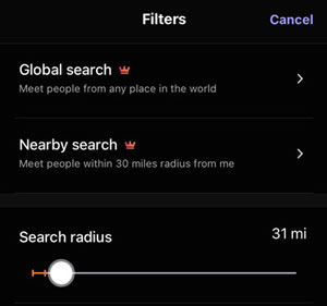 hily global search