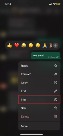 hold message to select info on iphone