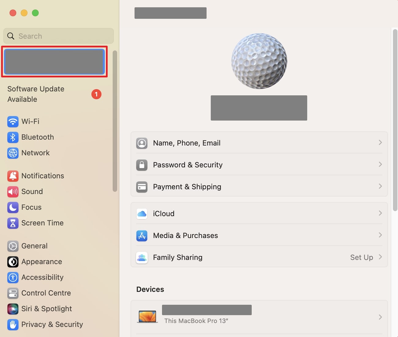 proceed into icloud settings