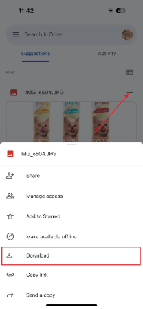 download shared data on iphone