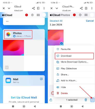 pick the desired and download