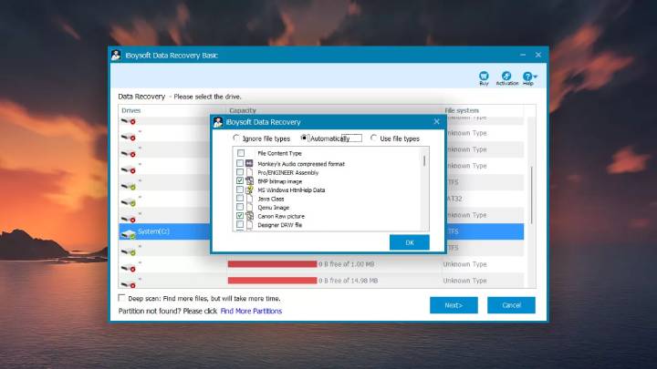 select file type to scan