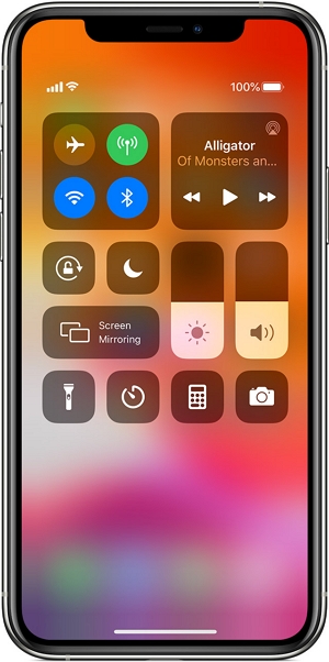 Test the Flashlight from Control Center