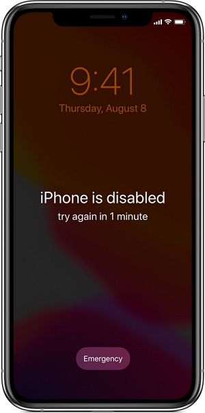 iPhone disabled