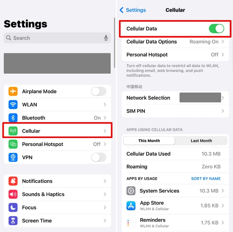 enable cellular data