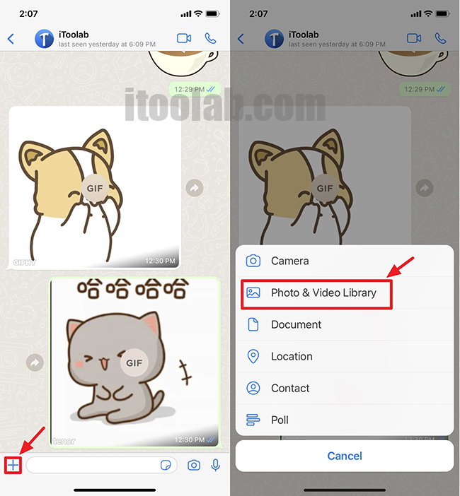 make whatsapp GIF on iphone