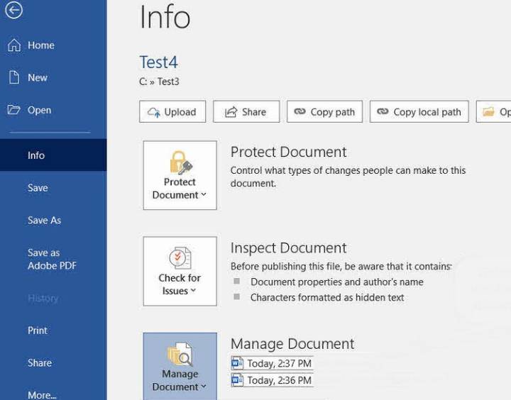 Manage Document autosaved Word versions