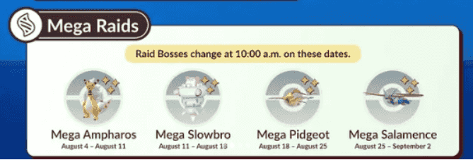 mega raids