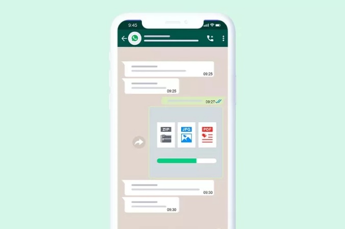 whatsapp media formats