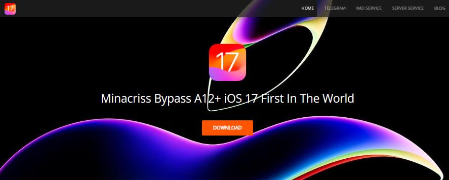 mina activator website