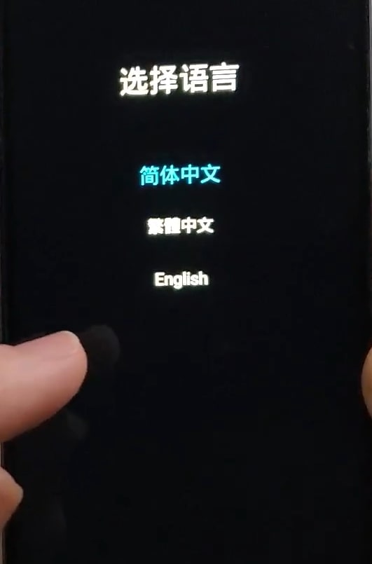 proceed with the english option