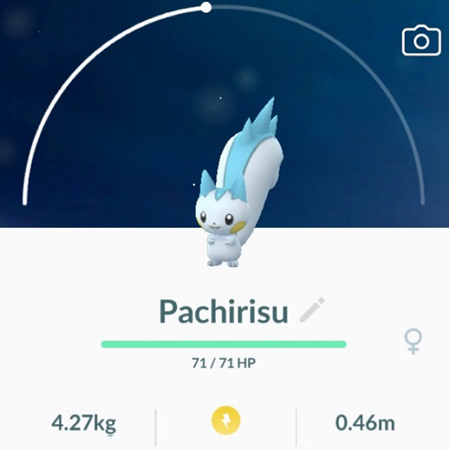 Pachirisu Pokemon Go Location and Map - Full Guide