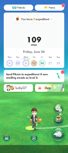 pikmin record steps anygo win