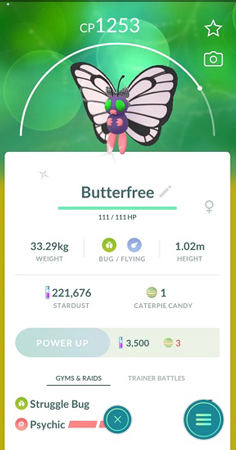 How to Catch More Shiny Pokémon in Pokémon Go, by Evelyn Hutton