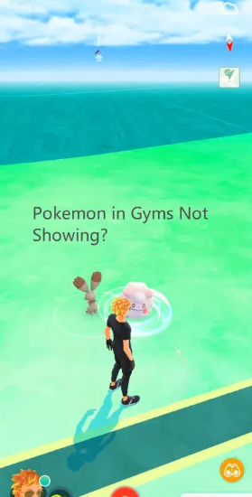 pokemon in gyms is not showing