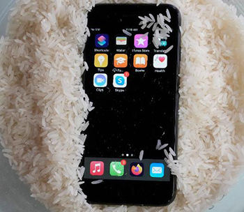 iphone put into rice