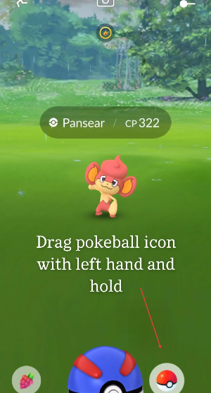 quick catch pokemon go