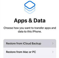 recovergo via icloud