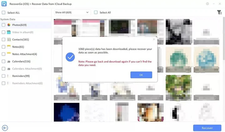 Preview photos found in an iCloud backup with RecoverGo iOS