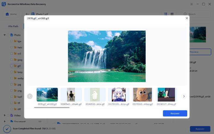 Recovergo Windows External Drive Preview Photo