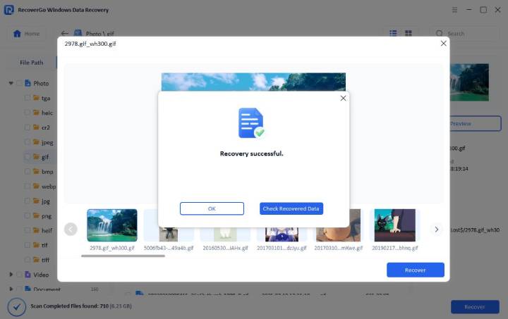 Recovergo Windows External Drive Recovery Successful