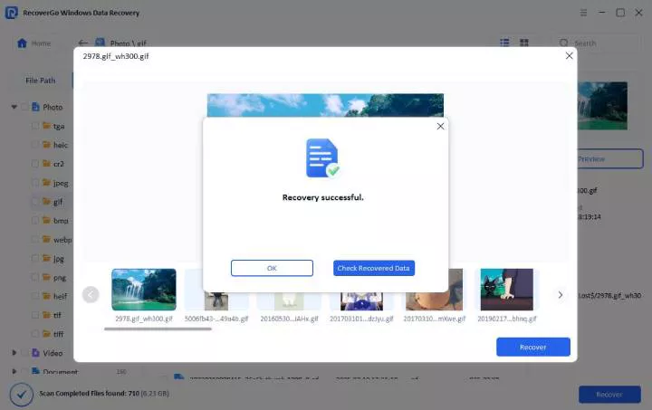 recovergo windows external drive recovery successful