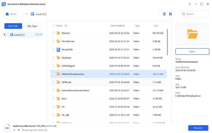 Recovergo Windows Scan Local Disk