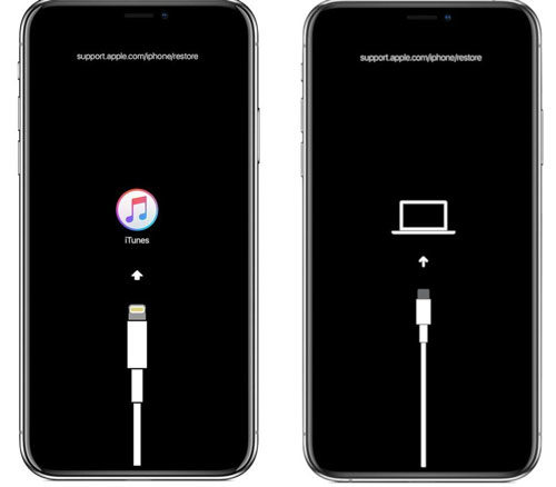 put iphone into dfu mode
