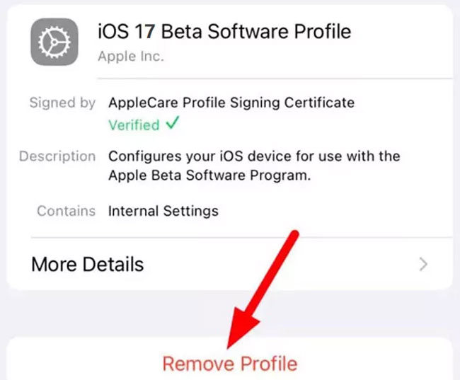 remove ios17 beta