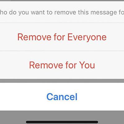 remove message from everyone messenger